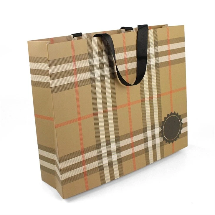 Large Paper Shopping Bags